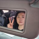 동인동물병원 | 줄기세포 피부주사 SMP STUDIO 수원 피부 관리 4차 후기