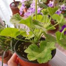 월명농장 이미지