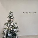 인디자인 | [포항] 죽도동 두피관리 인디자인두피탈모센터 본점 방문후기