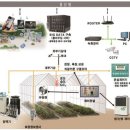 임차랑농장 이미지