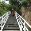 바다와소나무 펜션 이미지