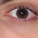 자양경희한의원 이미지