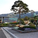 한방자연휴양림 이미지