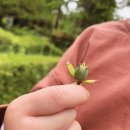 관관농원 백화원 | 리뷰## 충남 태안 여행 숙소 추천 “백화원” / 비밀...곳 / 태안 가족 여행 추천 펜션 / 관광농원백화원