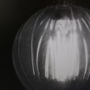 Lovely아지 이미지