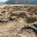 금성태양광발전소 이미지