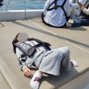 동백로 | 부산요트투어 더베이101 요트탈래 아이랑 낮에 다녀온 해운대 요트투어 후기 (주차/가격)