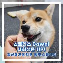 멍 핏 스튜디오 이미지