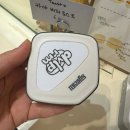 신진말 | 디벨로핑룸 가좌점 분위기 좋은 인천 대형카페 추천