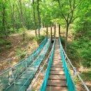 양촌자연휴양림 이미지