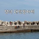 창호민박 | 영덕 대탄방파제 스노쿨링 명소 방문 후기 및 주차 정보