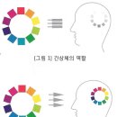 2. 눈의 구조와 작용 - (2)시세포와 색맹 이미지