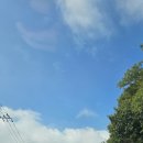 한자리한턱 이미지