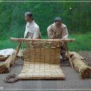 금산인삼관 이미지