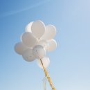 예신화장품 이미지