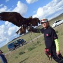 호텔 초원 이미지