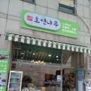 호연나무