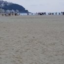 대명 합동 행정사 이미지