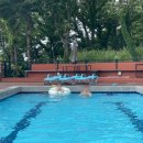 에떼르모 이미지