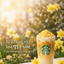 한국 수어A | [내일배움캠프] 디지털 마케터 4기 12일차 TIL (26.03.11)