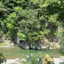 참뼈감자탕 이미지