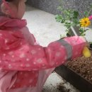 여주역공인중개사 이미지