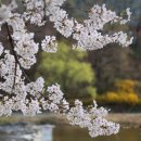 보문호수 이미지