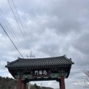 키즈 한국무용 | 대구 묘운 카페 예약 메뉴 주차 강아지 노키즈존