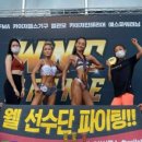 웰휘트니스퍼스널트레이닝센터 이미지