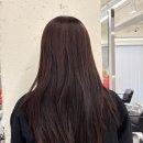 파랑헤어샵 | 서면미용실 추천 ✨ 헤어비브 서면본점 태건원장 레이어드컷+매트염색 대만족 후기