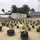 용동농장 이미지