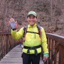 그린그린 스포츠조선
