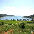 호수길 걷기명상 이미지