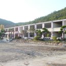 돌산초등학교 이미지