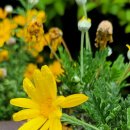 브레드팩토리 이미지