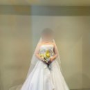 🐶🐷💍E-6. 아뜰리에 로리에 본식 가봉 후기 (25S/S 실크 드레스)