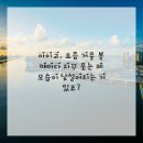 연세미소드림치과의원 | 스마일 미소 자신감 충전 각! 연세 굿 프 란 트 치과 정복 후기