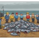 대박참치 이미지