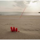 섬을찾는사람들 이미지