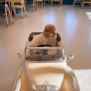 몽실이네 이미지