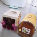 이리온 양재점 이미지