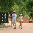 자이언(ZION) 이미지