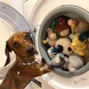 학교종이 댕댕댕 이미지