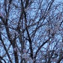 지리산둘레길3 이미지