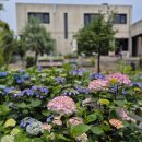 하예동-7 | 제주 서귀포 감성숙소 102스테이 소개해요