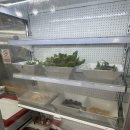 남문숯불바베큐엔치킨도남점 | 제주 아라동 대패삼겹살 맛집 꽃잎대패, 숯불치킨 맛집 남문숯불바베큐&amp;치킨 아라점 솔직 후기