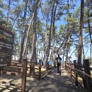 간절곶 소망길 이미지