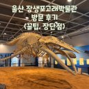 울산해양박물관 | 울산 장생포 고래박물관 방문 후기 - <웅장함에 말문이 막혔던 그날>(ft. 관람 꿀팁,장단점, 총평)