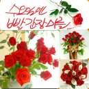 비움&해독