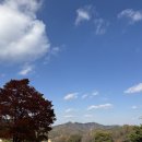 조아골프아카데미 / 11월 월례회 후기~~